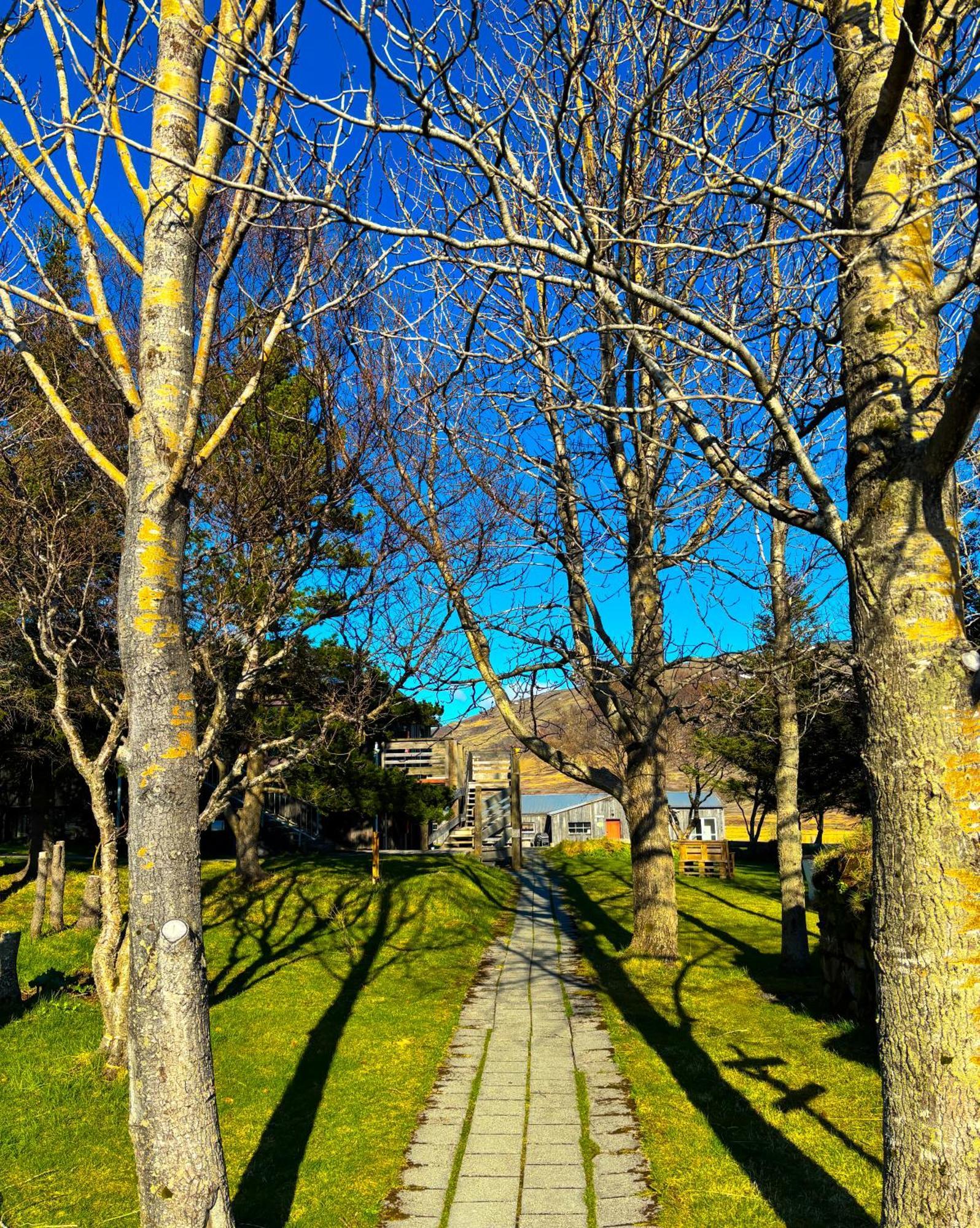 Bru Country Estate Hotel Selfoss Bagian luar foto