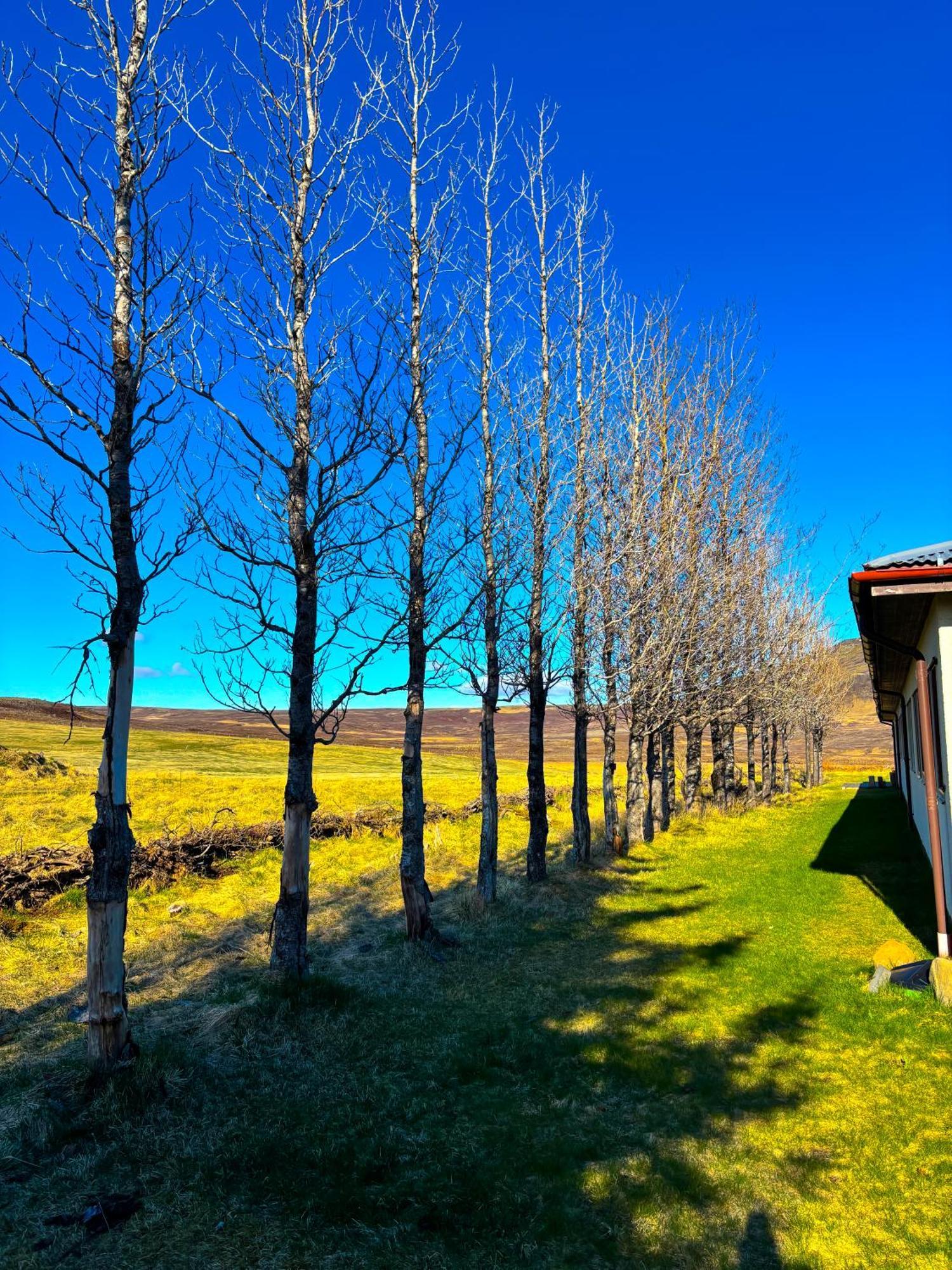 Bru Country Estate Hotel Selfoss Bagian luar foto